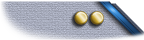 Lieutenant